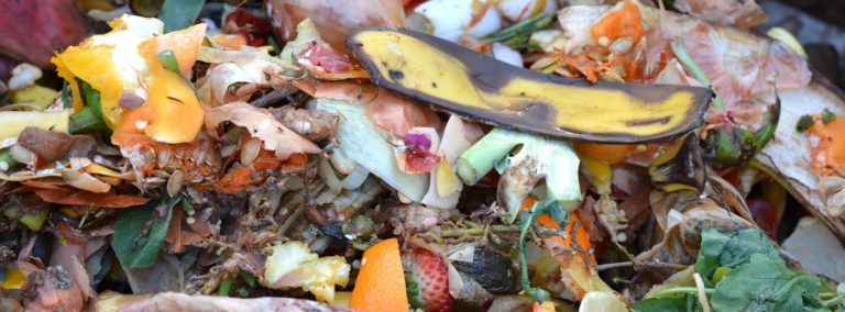 a beginner's guide to composting