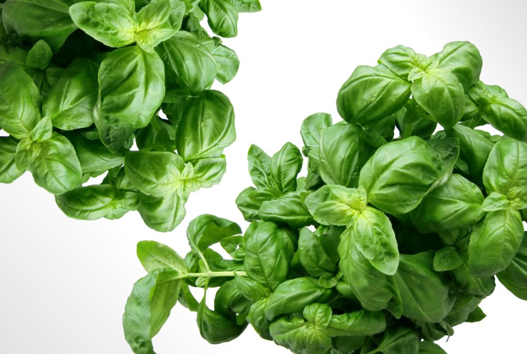 8 Things To Do With Fresh Basil A Well Advised Life   What To Do With Fresh Basil 1024x689 