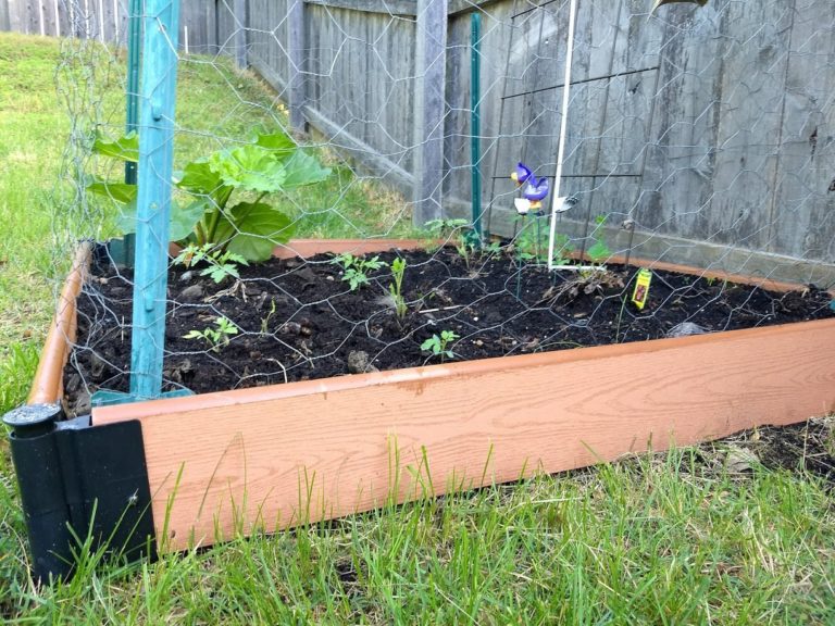 benefits of raised garden beds